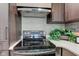 Close-up of a modern stove with a stainless steel range hood and mosaic backsplash at 8695 Shoe Overlook Dr, Fishers, IN 46038