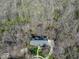 Birds-eye view of a home surrounded by dense trees, showcasing a well-kept lawn and long driveway at 6013 Yellow Birch Ct, Avon, IN 46123
