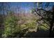 Tranquil backyard view showcasing the natural beauty of the surrounding wooded area at 6013 Yellow Birch Ct, Avon, IN 46123
