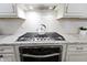Close-up of the gourmet kitchen with modern appliances and stylish details at 1444 Waterleaf Dr, Westfield, IN 46074