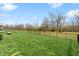 View of the large backyard featuring a black fence, well-manicured lawn, and trees at 3971 Albert Ln, Bargersville, IN 46106