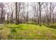 Lush backyard with mature trees and green space, perfect for outdoor activities and relaxation at 123 W 81St St, Indianapolis, IN 46260