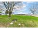 Expansive backyard featuring mature trees, a large lawn, and ample space for outdoor activities at 1254 E 400 N, Greenfield, IN 46140