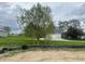 A tranquil backyard with a large willow tree adds natural beauty and shade to the property at 3315 Godby Dr, Sheridan, IN 46069