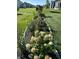 A landscaped flower garden filled with different colored hydrangeas and lush foliage at 3665 Conifer Dr, Zionsville, IN 46077