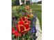 Beautiful garden bed featuring vibrant tulips and muscari flowers along a well-manicured lawn at 3665 Conifer Dr, Zionsville, IN 46077
