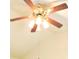 Close up of ceiling fan at 4959 Clarkson Dr, Indianapolis, IN 46254