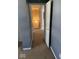 View of a hallway through the doorway; features gray walls and carpet flooring at 13660 N Ayrshire Cir, Camby, IN 46113