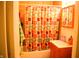 Compact bathroom features a colorful shower curtain, vanity, and mirrored cabinet at 4107 Eisenhower Dr, Indianapolis, IN 46254