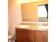 Bathroom featuring double sinks, wood cabinets, and ample counter space at 5069 Lilium Dr, Plainfield, IN 46168