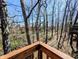 A lovely view of trees and woods as seen from a high outdoor vantage point at 61 Osage Ct, Columbus, IN 47201