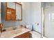 Bright bathroom features a single sink vanity, a toilet, and walk-in shower at 4339 W Briarwood Rd, Monrovia, IN 46157