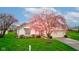 Inviting single-story home enhanced by a vibrant flowering tree and a lush green lawn at 118 Presidential Ct, Greenfield, IN 46140