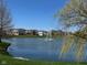 Community pond view featuring a fountain, surrounded by lush greenery and homes at 12802 Ari Ln, Fishers, IN 46037