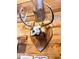 Mounted deer skull and antlers on a wooden plaque with a carved heart design at 3559 N Us Highway 41, Bloomingdale, IN 47832
