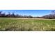 Expansive grassy field surrounded by trees, offering a serene and natural setting at 3559 N Us Highway 41, Bloomingdale, IN 47832