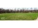 A vast grassy field bordered by trees, presenting an open, natural landscape with potential at 3559 N Us Highway 41, Bloomingdale, IN 47832