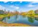 Backyard pond and fountain surrounded by trees and lush landscaping on a sunny day at 4644 Shelby Cir, Greenwood, IN 46143