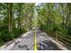 Community path featuring mature trees and yellow divider, promoting an active and healthy lifestyle at 675 Greenford N Trl, Carmel, IN 46032