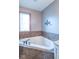 A close-up of the bathroom with a corner soaking tub and a bright window at 130 George Ct, Danville, IN 46122