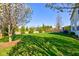 Well-manicured backyard with healthy green grass, surrounded by trees and a wooden fence at 1950 Midnight Pass, Brownsburg, IN 46112