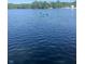 A person is kayaking on the beautiful lake surrounded by trees, creating a serene waterfront living experience at 3764 E Glenwood Dr, Martinsville, IN 46151