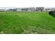 Expansive backyard with black fence, offering plenty of room for recreation and relaxation at 5181 Golden Grove Dr, McCordsville, IN 46055