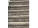 Plush gray carpeted stairs leading to the upper level, offering comfort and a quiet ascent at 6120 Salanie Pl, Indianapolis, IN 46254