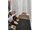 Entryway area featuring a shoe rack, dark floors, and neutral colored walls at 10319 Pronghorn Ln, Indianapolis, IN 46239