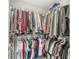 Spacious walk-in closet with organized hanging racks for clothing at 3527 Brampton Ln, Westfield, IN 46074