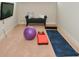 Bonus room featuring a TV, yoga ball, exercise mat, bench, and carpeted flooring at 4415 Voyageur Way, Carmel, IN 46074