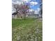 Large grassy backyard with storage sheds and a beautiful weeping cherry tree at 6389 N Forest St, Martinsville, IN 46151