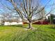 Backyard featuring a large tree and shed at 7606 Miracle Rd, Indianapolis, IN 46237