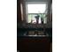 A kitchen sink with a window and plants on the window sill at 10629 Simsbury Ct, Indianapolis, IN 46236