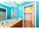 Bright blue bathroom with a double vanity, large mirror, and walk-in closet for optimal storage at 229 Waterford Ct, Avon, IN 46123