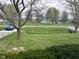 Lush front yard with mature trees and view of surrounding neighborhood at 7740 5 Points Rd, Indianapolis, IN 46259
