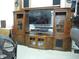 A large entertainment center with speakers and TV are visible in a garage setting at 13065 Allman Dr, Mooresville, IN 46158