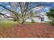 Lush backyard featuring mature tree and a carpet of fallen leaves at 2330 Harlan St, Indianapolis, IN 46203