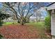 Backyard view from corner of home with a mature tree at 2330 Harlan St, Indianapolis, IN 46203