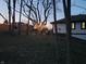 Backyard view of tree with string lights, hammock, firepit and seating at dusk at 5739 E 62Nd Pl, Indianapolis, IN 46220