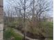 Beautiful backyard view features a winding creek surrounded by lush greenery and trees at 6525 Emerald Hill Ct # 208, Indianapolis, IN 46237