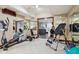 Home gym featuring workout machines, weights, mirrors, neutral walls and carpet, and doorway to other rooms at 8362 N County Road 650 E, Brownsburg, IN 46112