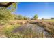 An open pond is surrounded by dense native vegetation at 9056 E 650 N, Wilkinson, IN 46186