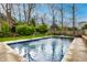 Backyard featuring a private pool with diving board, mature trees, and privacy fence at 12613 Carrington Pl, Carmel, IN 46033