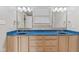 Bathroom vanity with dual sinks and a stylish blue countertop is both functional and stylish at 2511 Countryside Westview Dr, Shelbyville, IN 46176