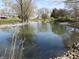 Picturesque view of a tranquil pond reflecting the sky, surrounded by lush greenery and landscaping at 3311 Stella St, Greenwood, IN 46143