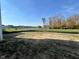 Expansive backyard with a view of a pond and a community area at 3847 Thomas Jefferson Ct, Westfield, IN 46074