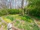 Lush backyard with an enclosed forest, natural shade, and serene views creating a private outdoor space at 575 Crestpoint Ln, Plainfield, IN 46168
