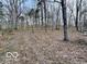 Overgrown backyard with mature trees creating a serene and private natural setting at 5846 Bellsville Pike, Columbus, IN 47201