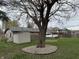 Spacious backyard featuring a large shade tree, well-maintained grass, and storage shed at 613 Rahkewood Dr, Indianapolis, IN 46217